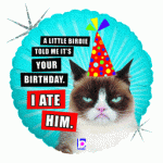 Grumpy Cat I Ate It Holo 18 Inch Mylar Birthday Balloon Inflated