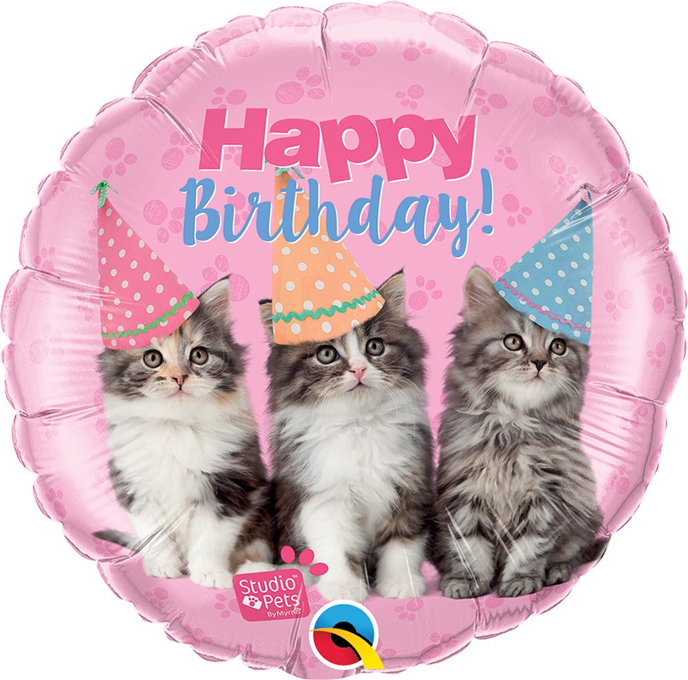 Studio Pets Birthday Kittens Mylar Balloon 18 Inch Inflated