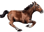 Brown Horse - 40" Mylar balloon inflated