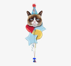 Grump Cat Party Face Jumbo Mylar Balloon Bouquet Inflated