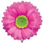 Hot Pink Daisy Flower 24in Mylar Balloon Inflated with Helium