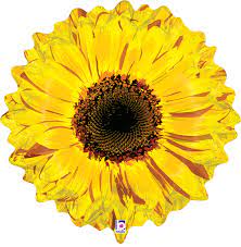 Yellow Sunflower Shape 24in Mylar Balloon Inflated with Helium