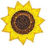 Yellow Sunflower 42 Inch Mylar Balloon Inflated with Helium