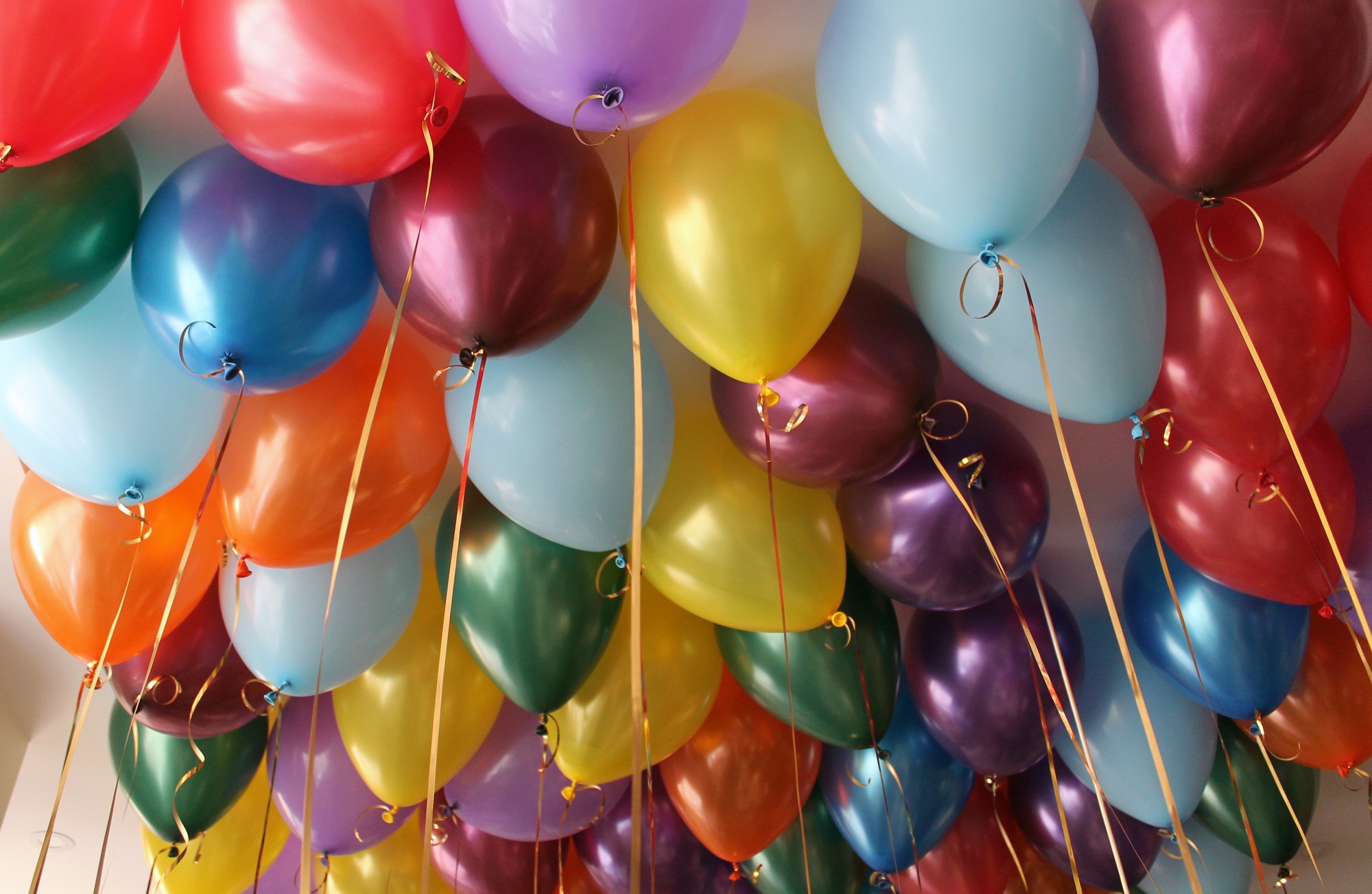 Colorful bright balloons filled with helium hang from the ceiling